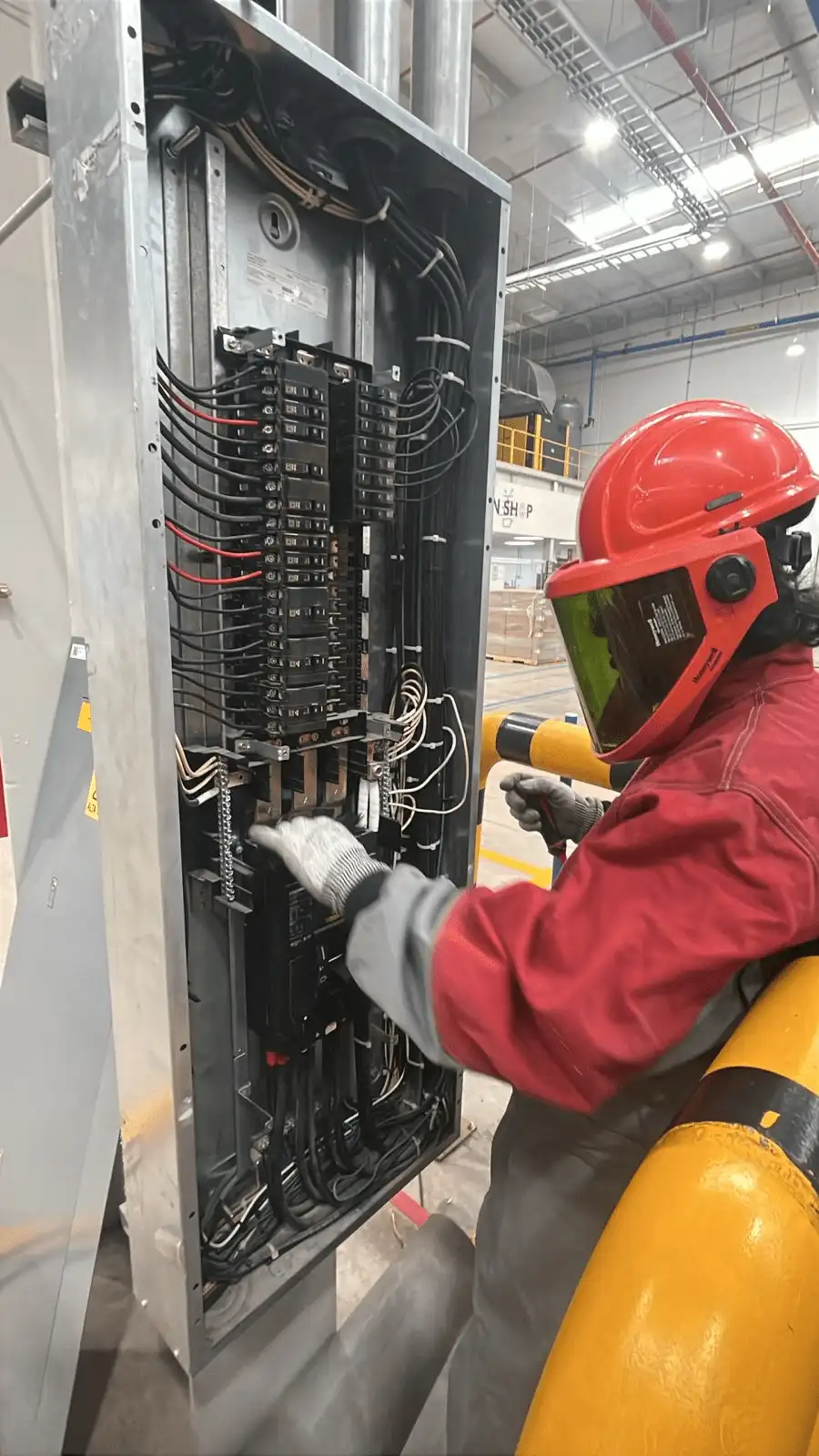 Imagen de WhatsApp 2025-08-02 a las 12.12.36_bc2824bb